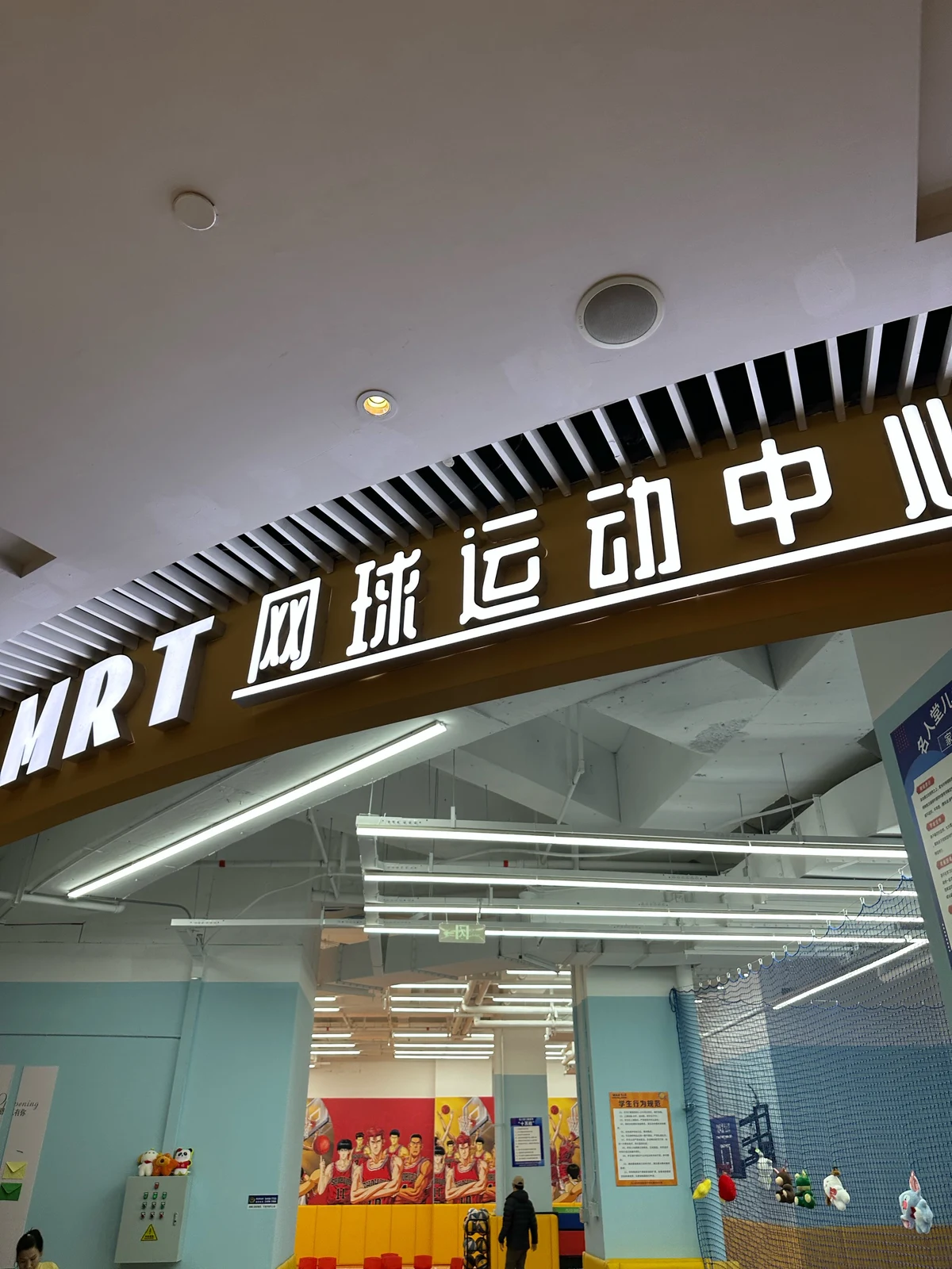 为什么大前锋在比赛中需要特别的体能训练?_2